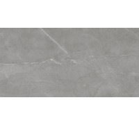 Savoy Плитка настенная тёмно-серый 08-01-06-2460 20х40 Laparet